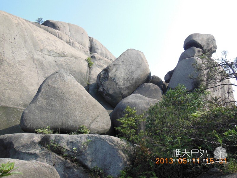 DSCN9985.jpg