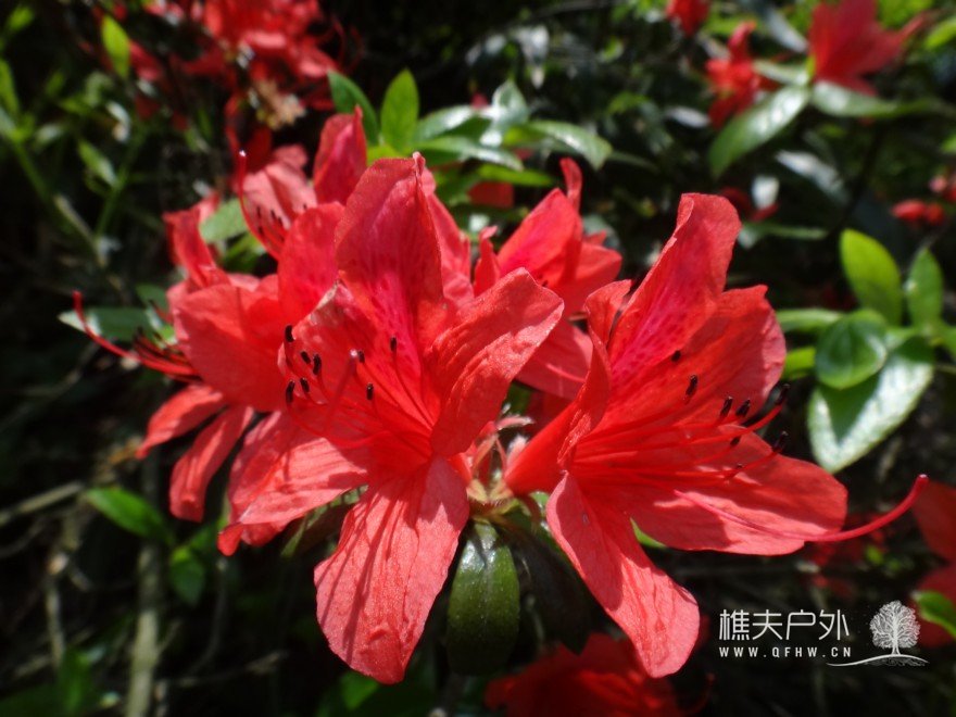DSC07445.jpg