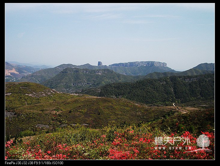 DSCF3084.jpg
