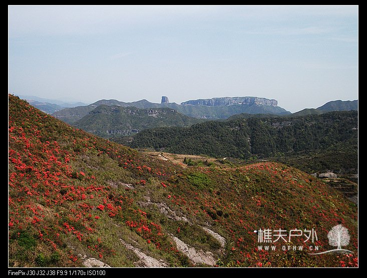 DSCF3105.jpg