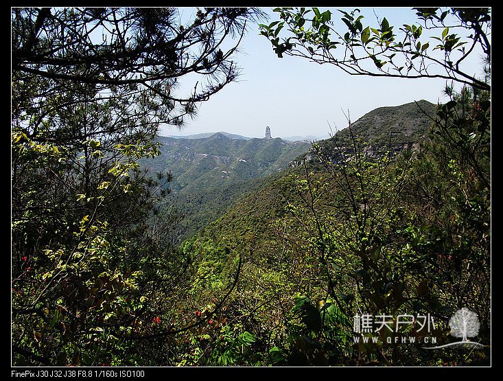 DSCF3195.jpg