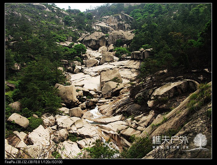 DSCF3564.jpg