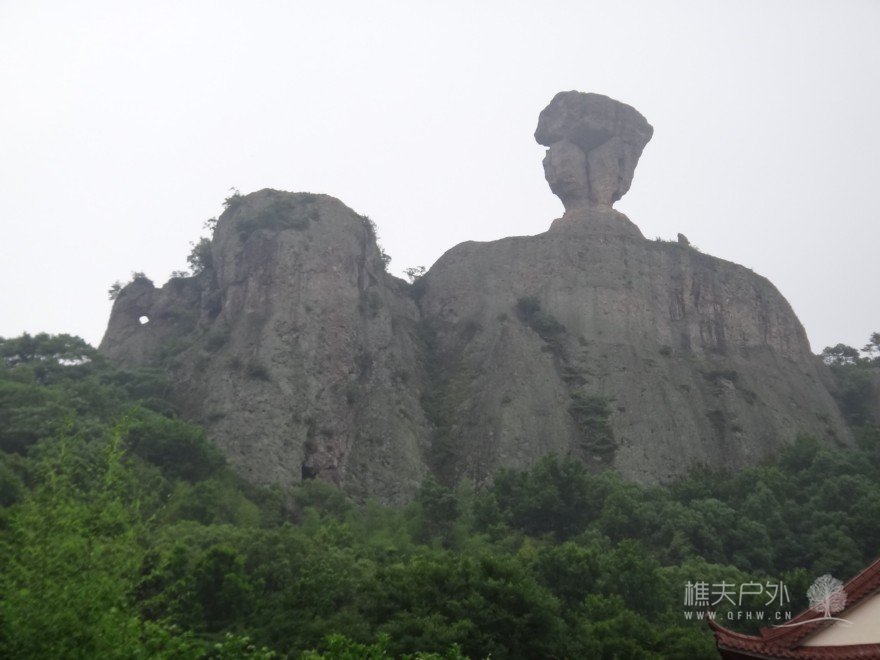 DSC07647.jpg