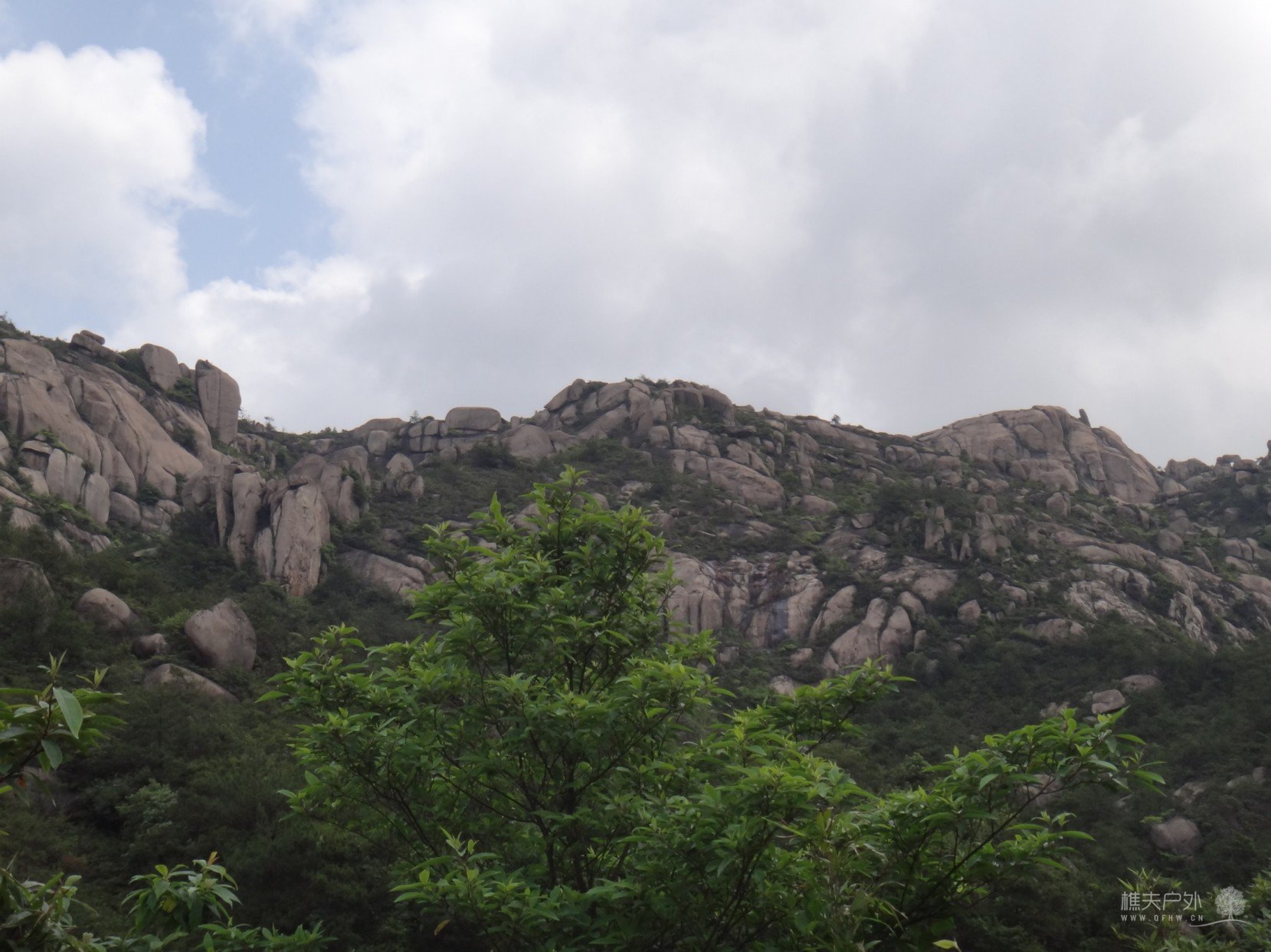 DSC07852.JPG