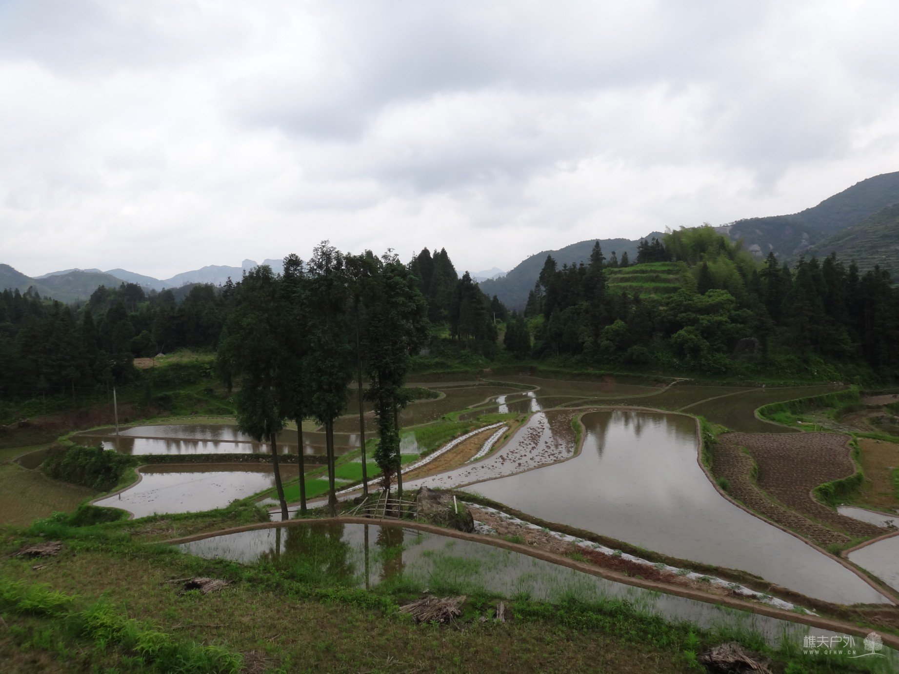 DSC08089.jpg