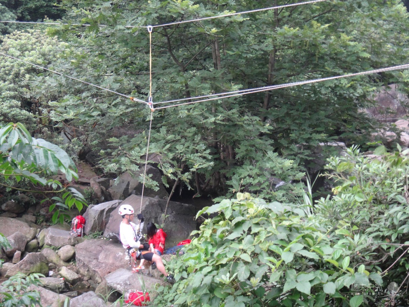 DSC08342.jpg