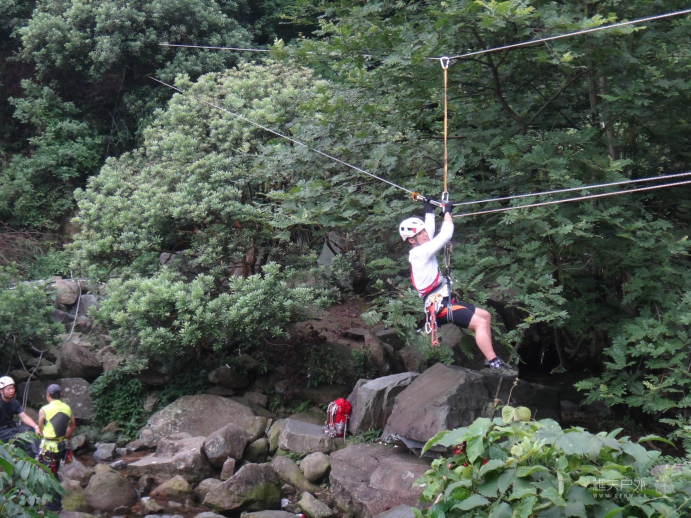 DSC08346.jpg