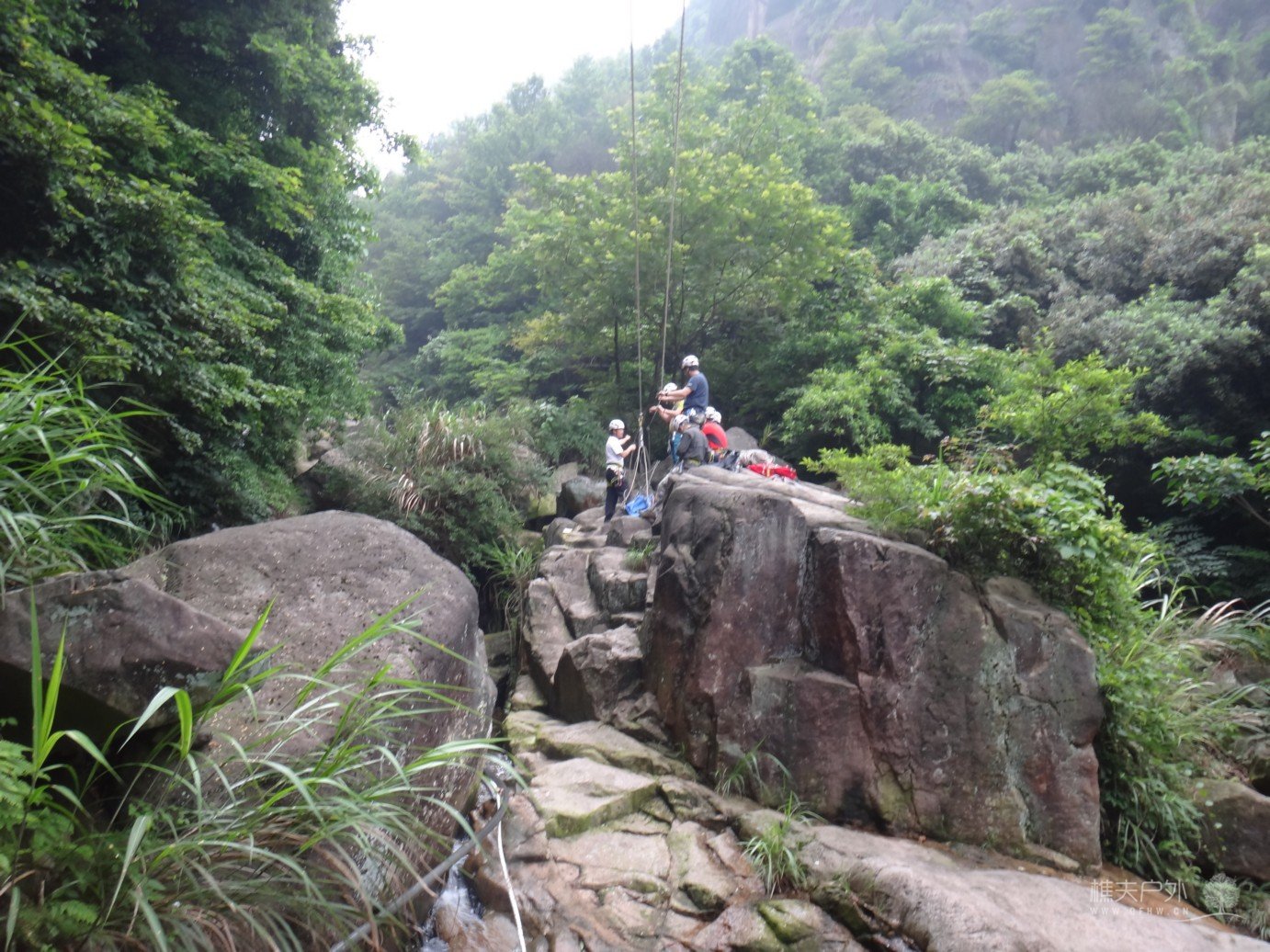 DSC08356.jpg