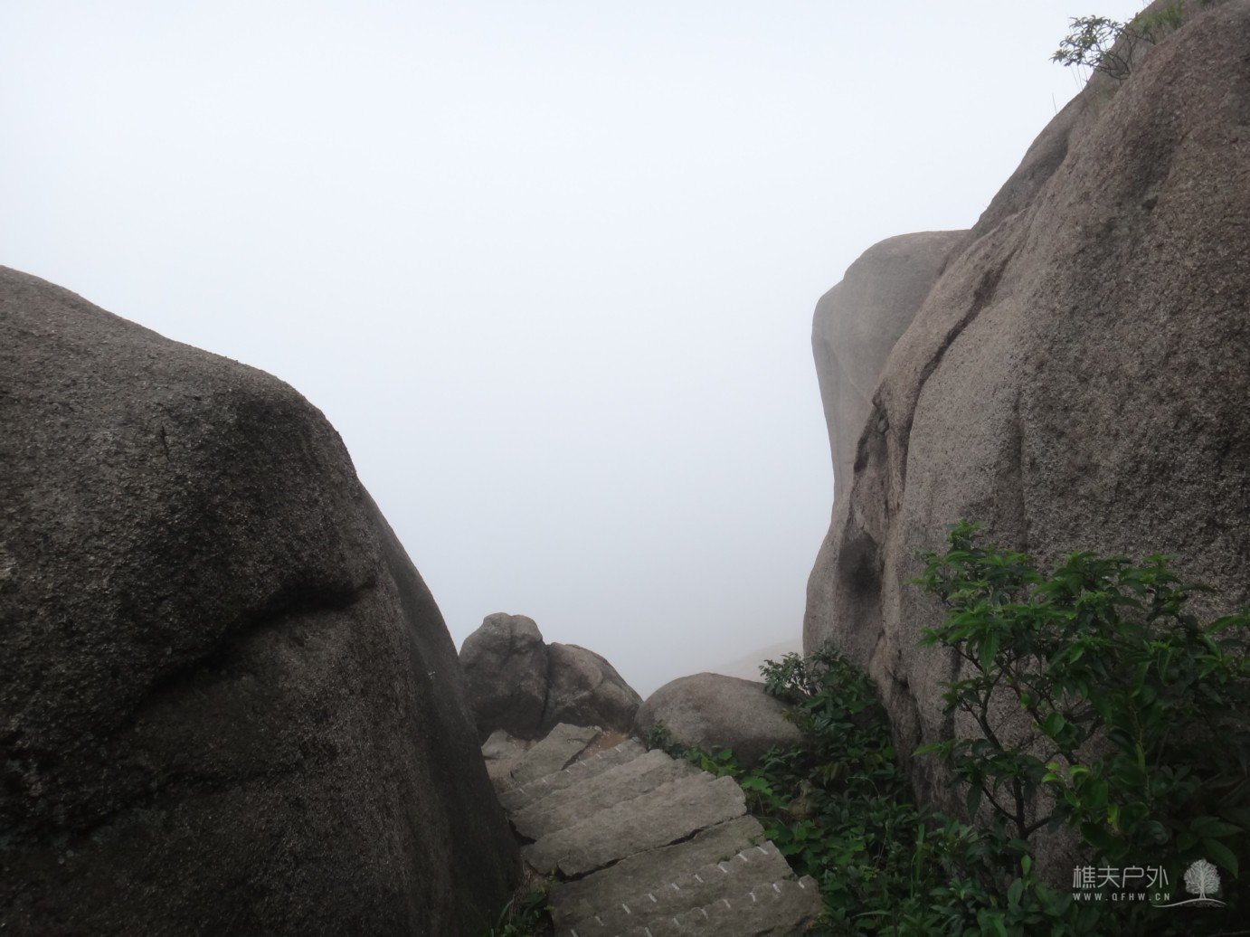 DSC08414.jpg