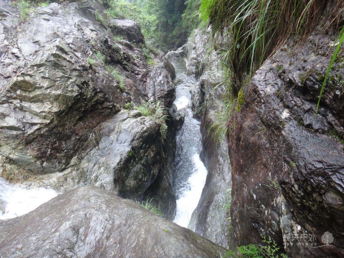 DSC08581.jpg