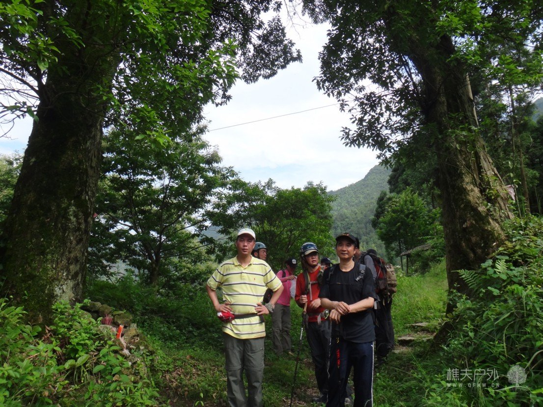 DSC08700.jpg