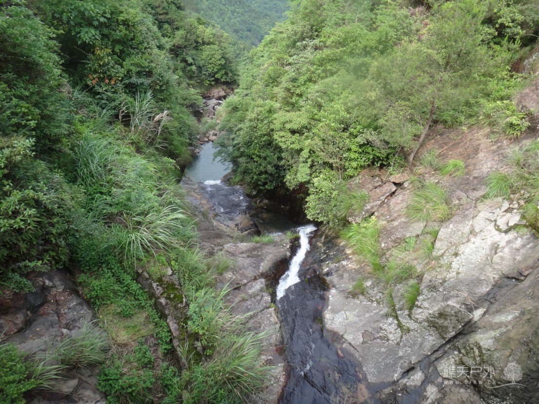 DSC08710.jpg