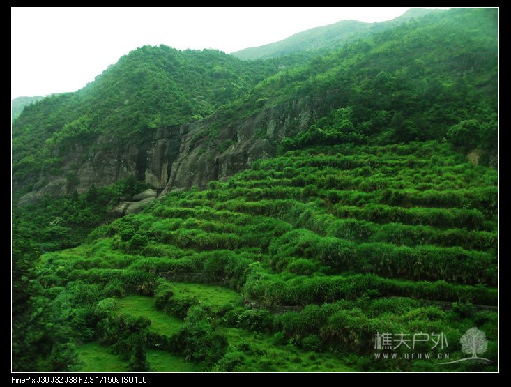 DSCF3770.jpg