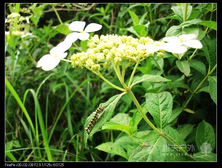 DSCF3797.jpg