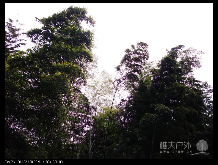 DSCF3837.jpg
