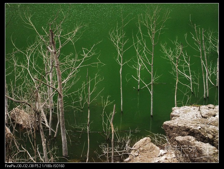 DSCF3857.jpg