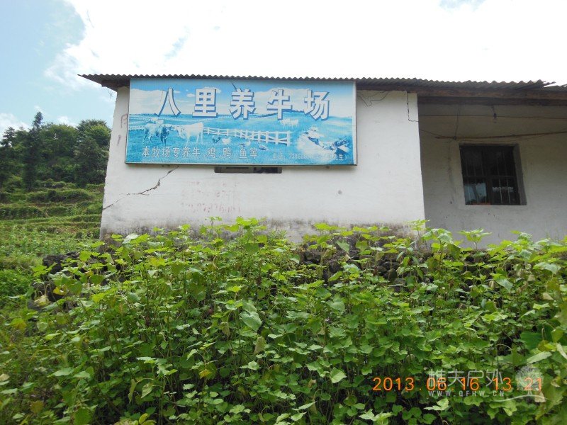 DSCN0655.jpg