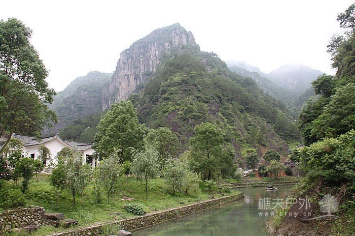 IMG_4206.JPG