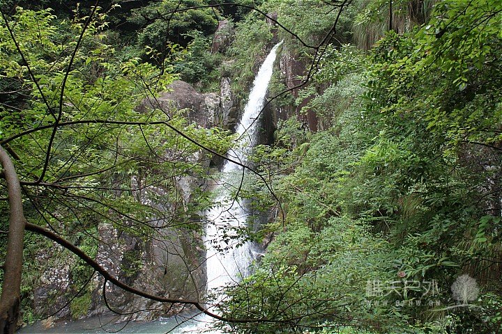 IMG_4244.JPG