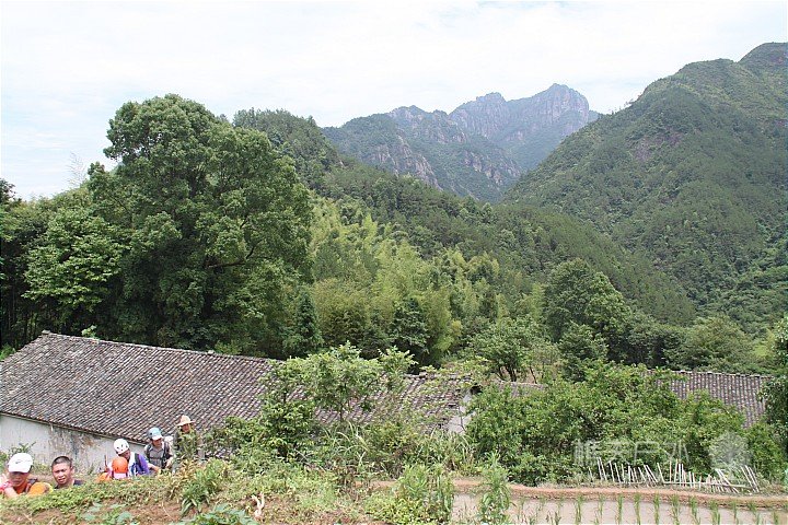 IMG_4252.JPG
