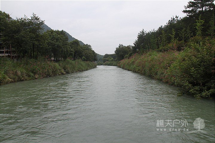 IMG_4199.JPG