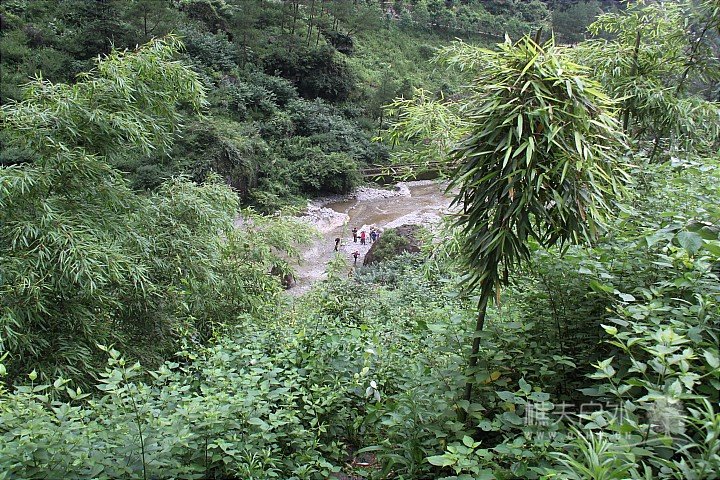 IMG_4217.JPG