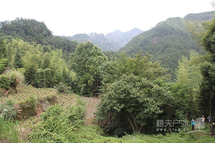 IMG_4250.JPG