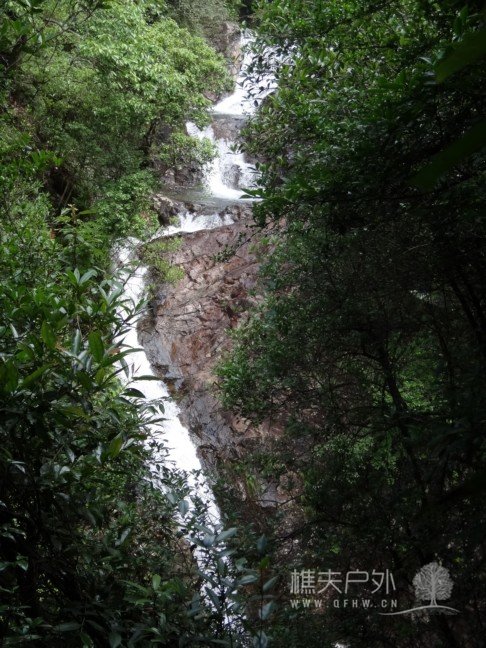 DSC09415.jpg