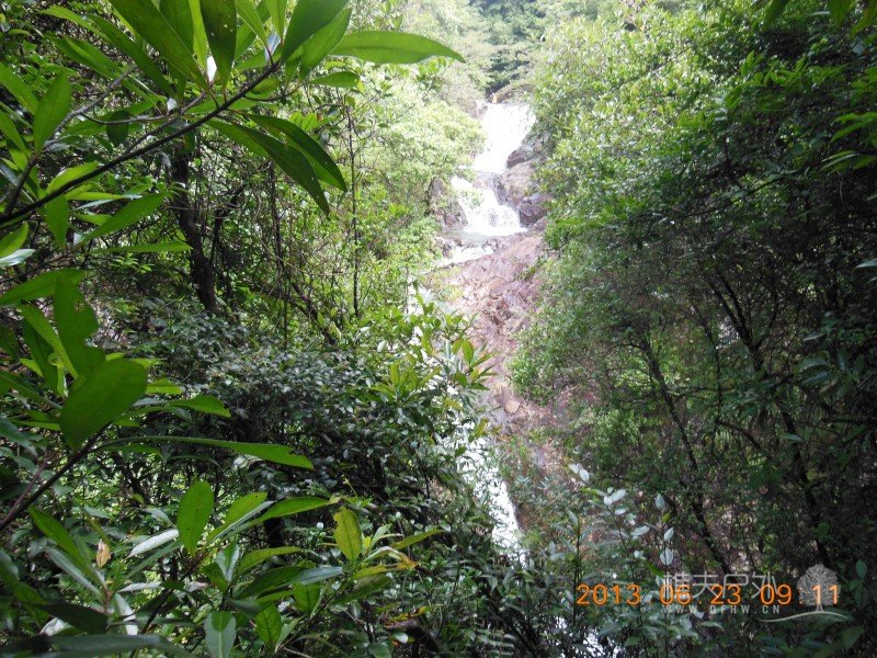 DSCN0736.jpg