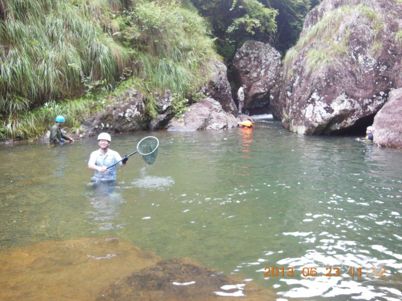 DSCN0800.jpg