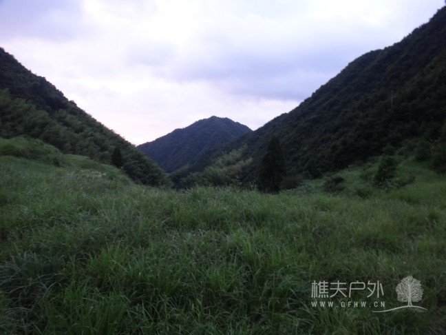 DSC09592.jpg