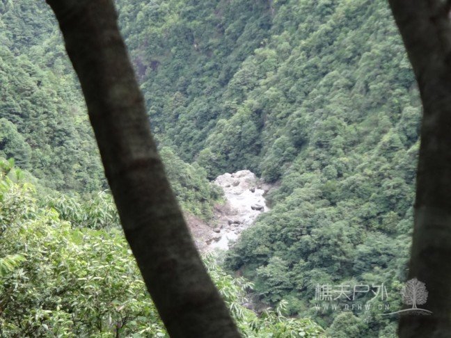 DSC09694.jpg