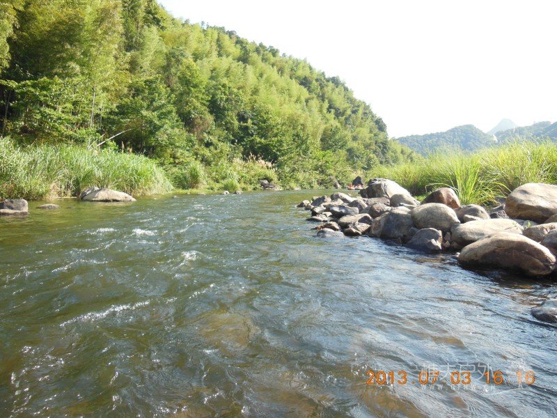 DSCN1135.jpg