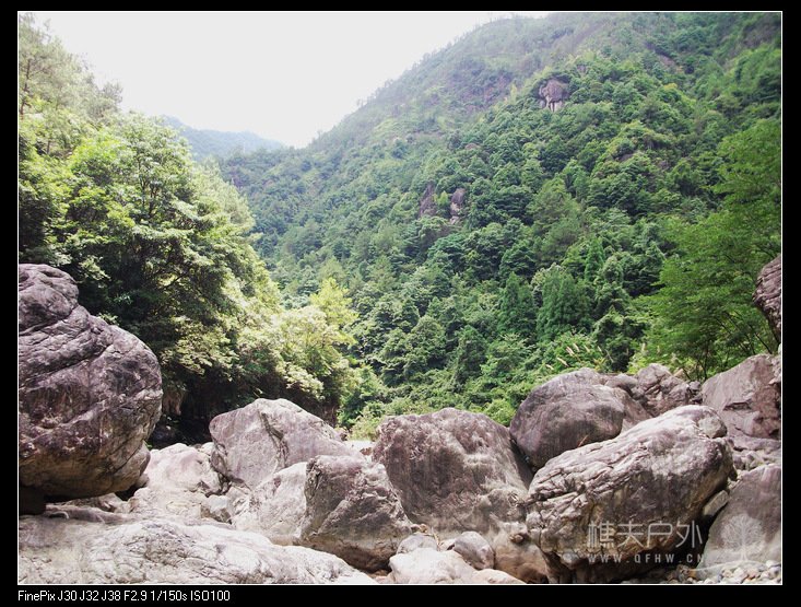 DSCF4463.jpg
