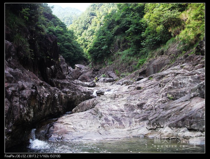 DSCF4556.jpg