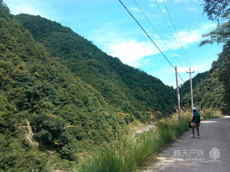 IMG_20130721_135404.jpg