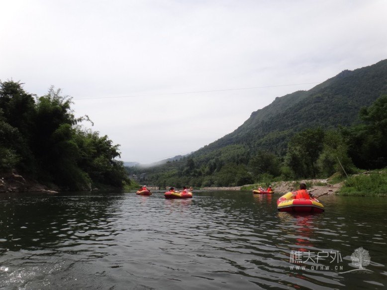 DSC01105.jpg