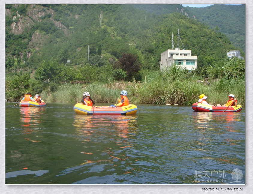 DSC00909.jpg
