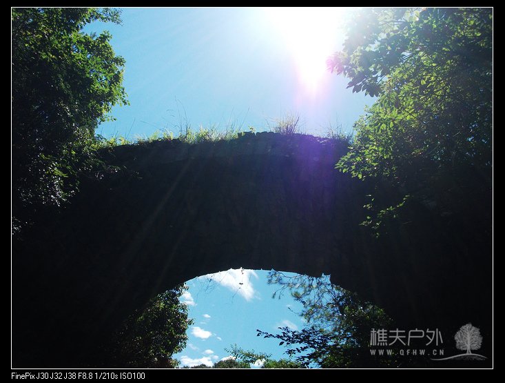 DSCF4610.jpg