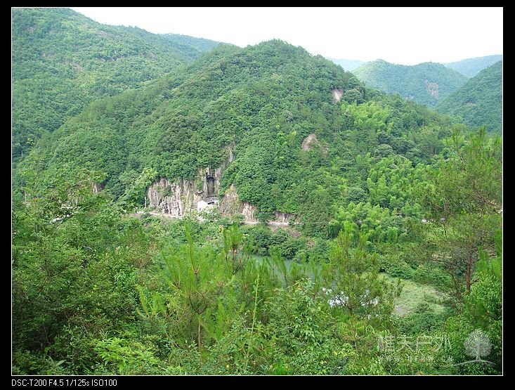 DSC09903.jpg