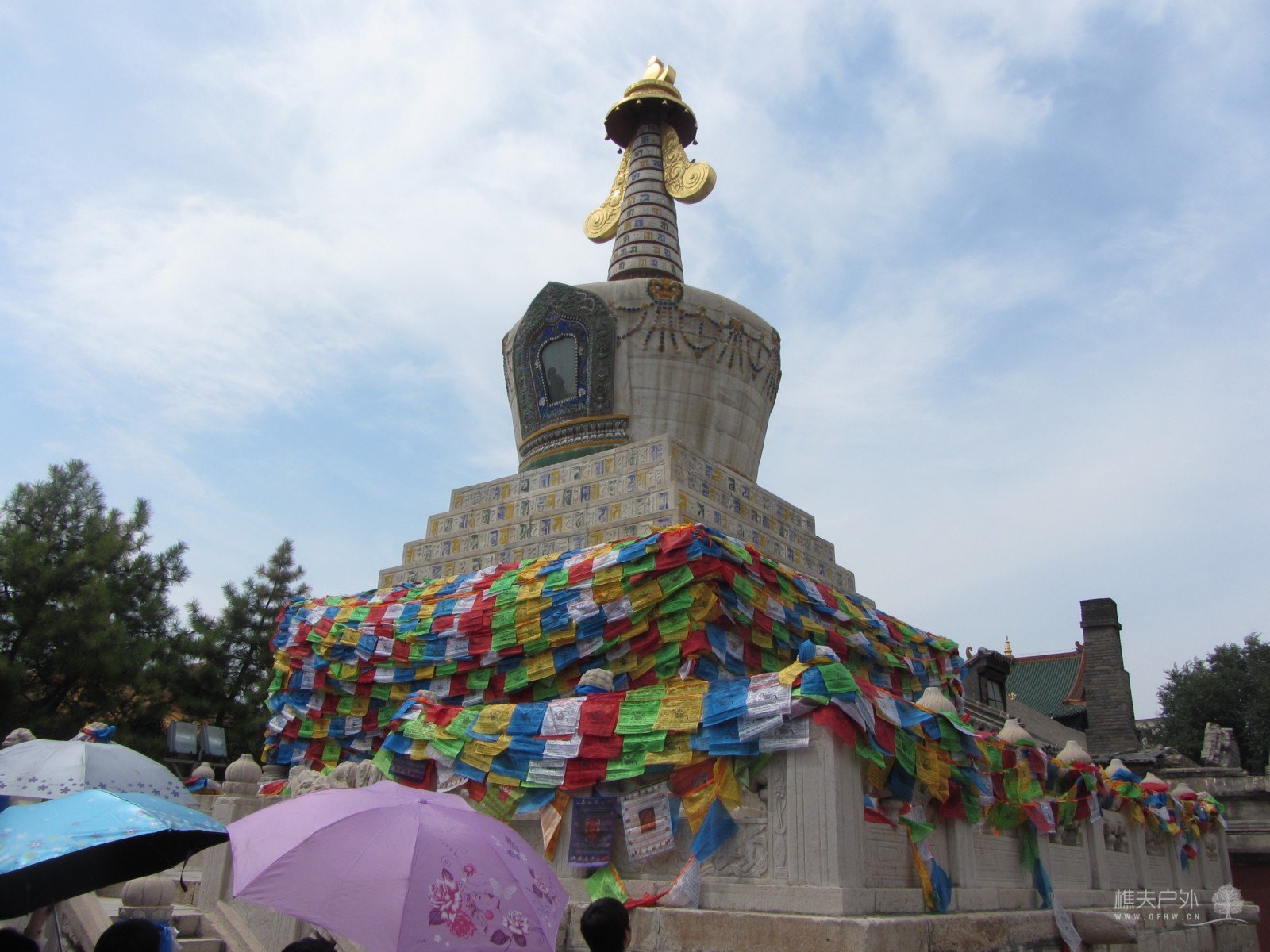 IMG_1437.jpg