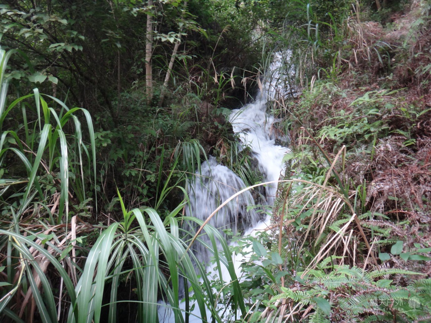 DSC02877.jpg
