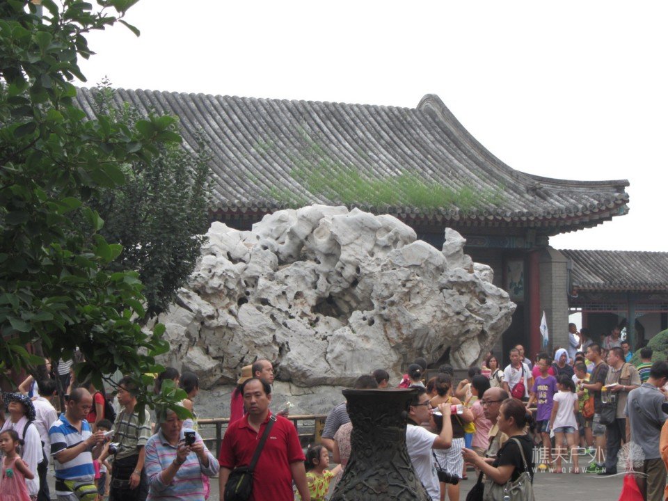 照片 307.jpg