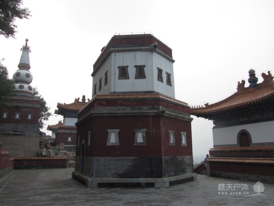 照片 373.jpg