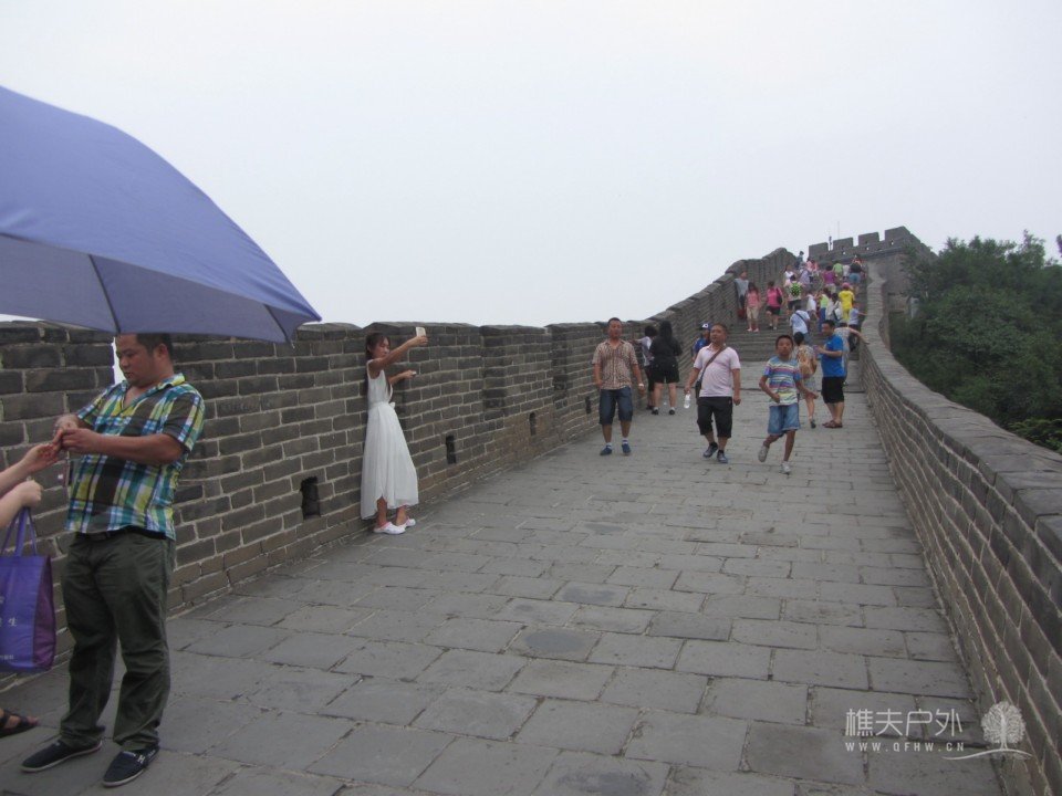 照片 500.jpg