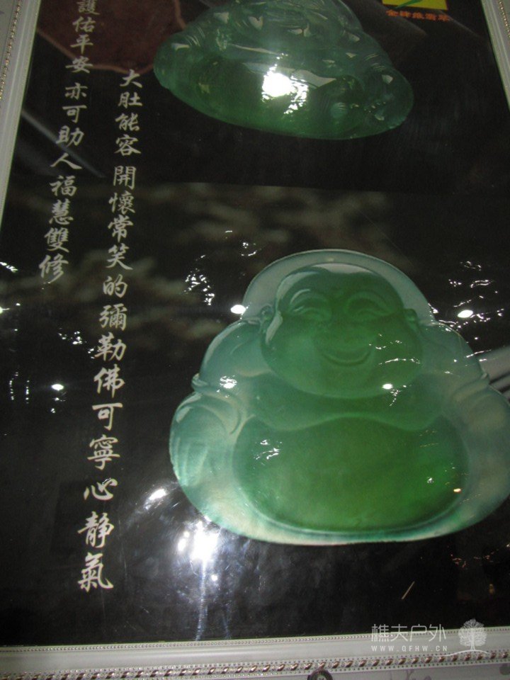 照片 410.jpg