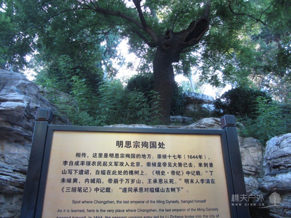 照片 704.jpg