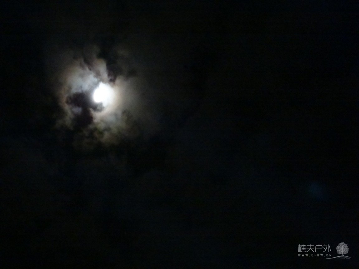DSC03080.jpg