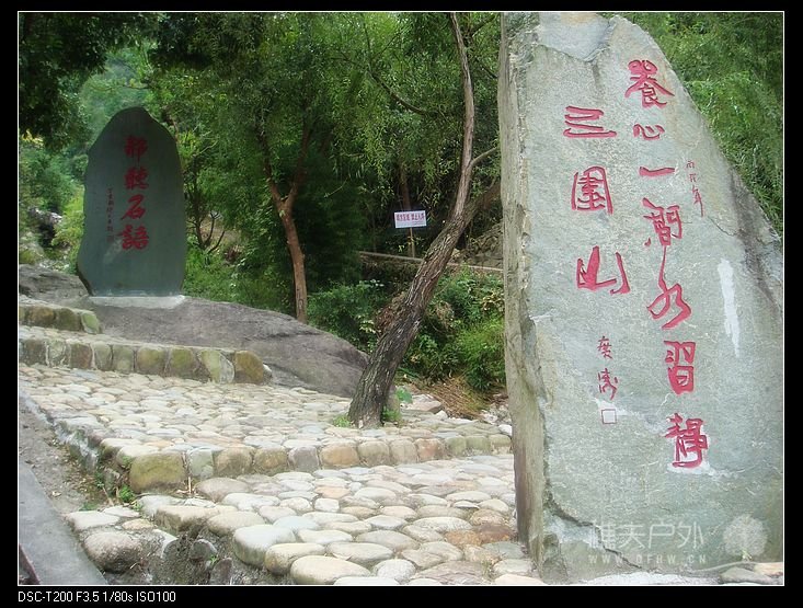 DSC00614.jpg
