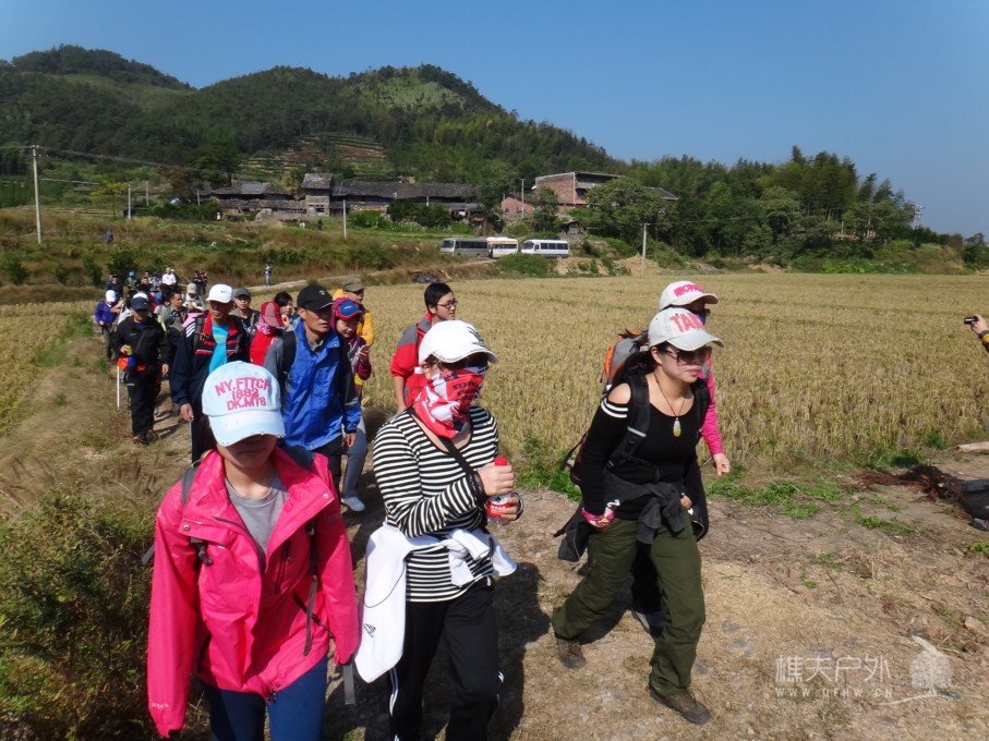 DSC04784.jpg